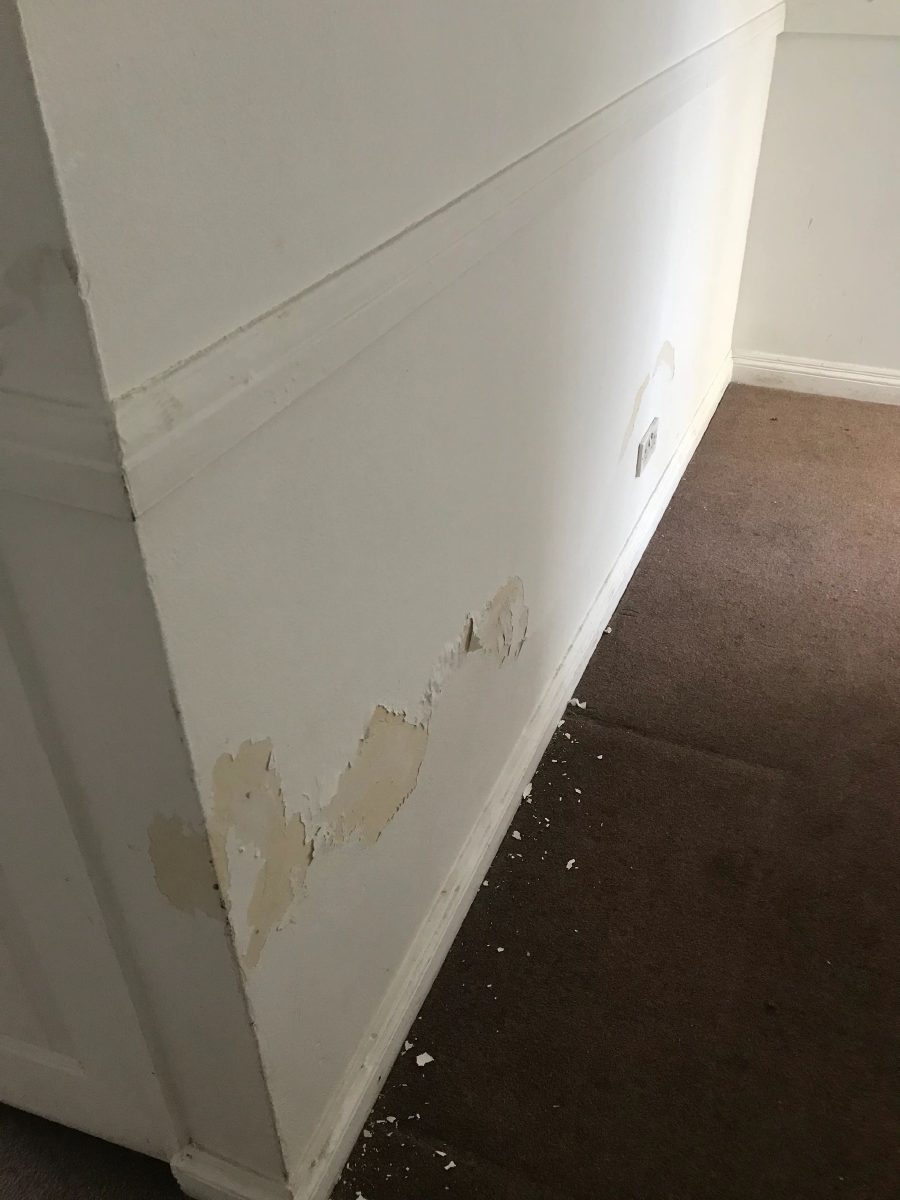 Paint and plaster flaking away from a wall just above the skirting board, with fallen fragments on the carpet below